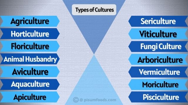 types of cultures